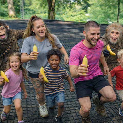 Monkeymaddnessrunning