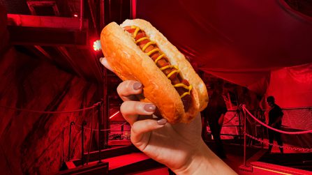 Hot dog and fries
