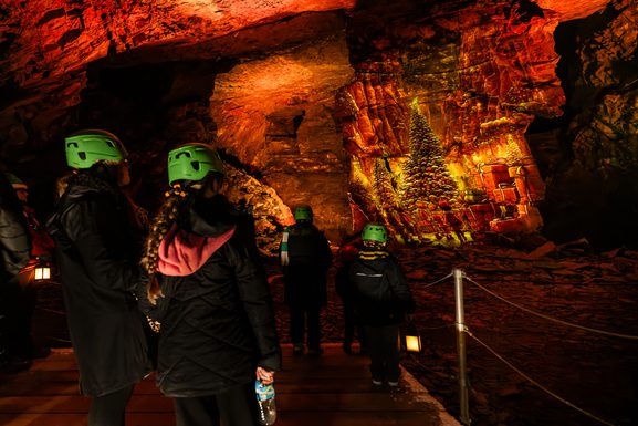 HHD 7192 Dx O Deep PRIME 3 Edit