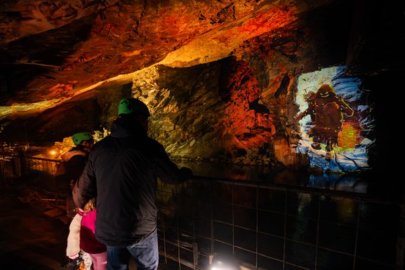 HHD 7327 Dx O Deep PRIME XD2s Edit