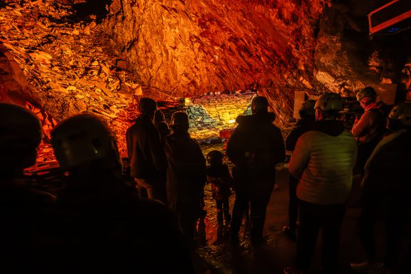 HHD 9661 Dx O Deep PRIME XD2s