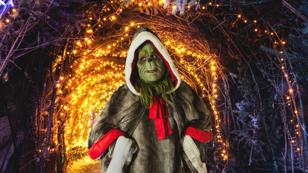 New Zipmas webpage images 2025 2