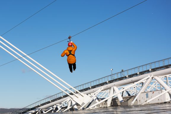 HHD 1142 Dx O Deep PRIME XD2s