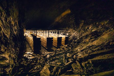 Snowdonia Cheese 123 low res