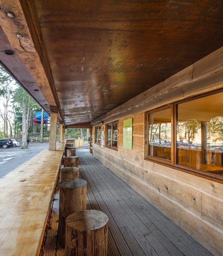 Forest Lodge0005