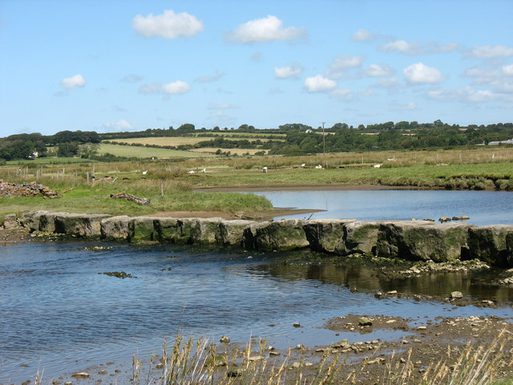 The Rhuddgaer Stepping Stones geograph org uk 522231