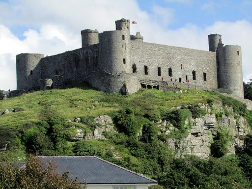 28606387954 1968b78f35 b