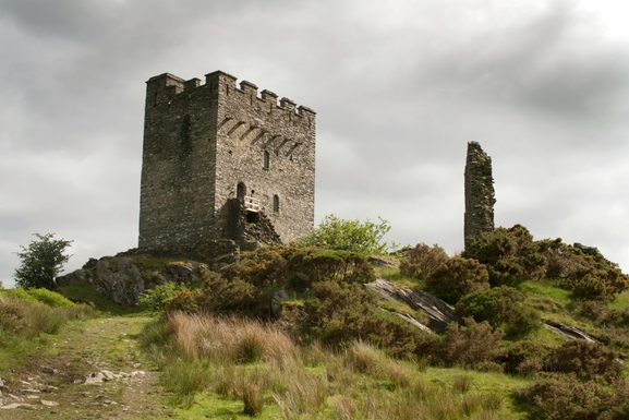 Pexels peter taylor 178585 16544546