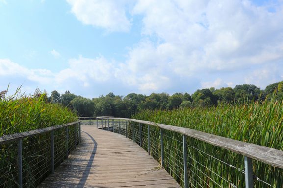 Pexels sophia zhang 1712464920 29917006