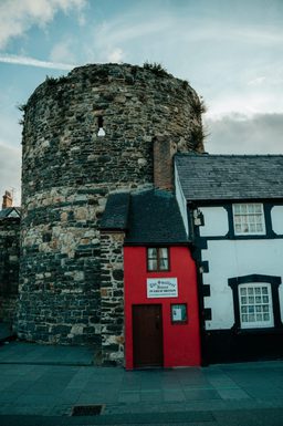 Pexels tash mccroft 507858573 16153374 1