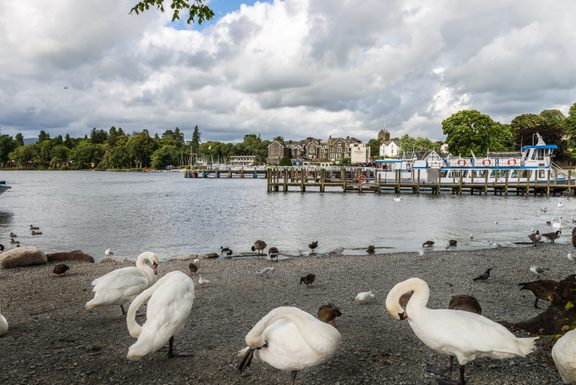 Banks of windermere in lake district england uk 2025 02 11 15 09 06 utc