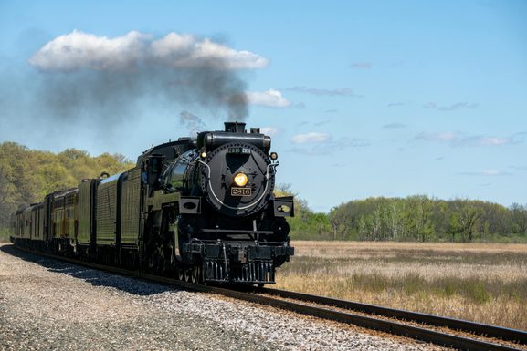 Pexels tomfisk 25643149