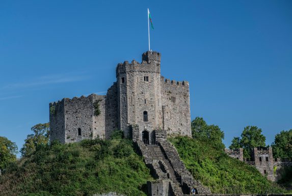 Pexels frans van heerden 201846 19825429