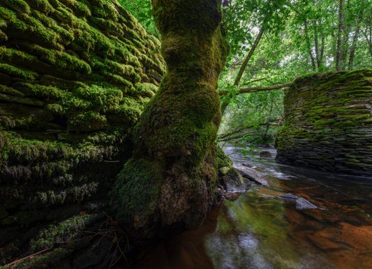 Old medieval bridge in ruins 2025 03 06 03 20 12 utc